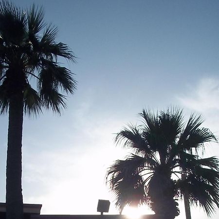 Whispering Palms Inn Del Rio Εξωτερικό φωτογραφία