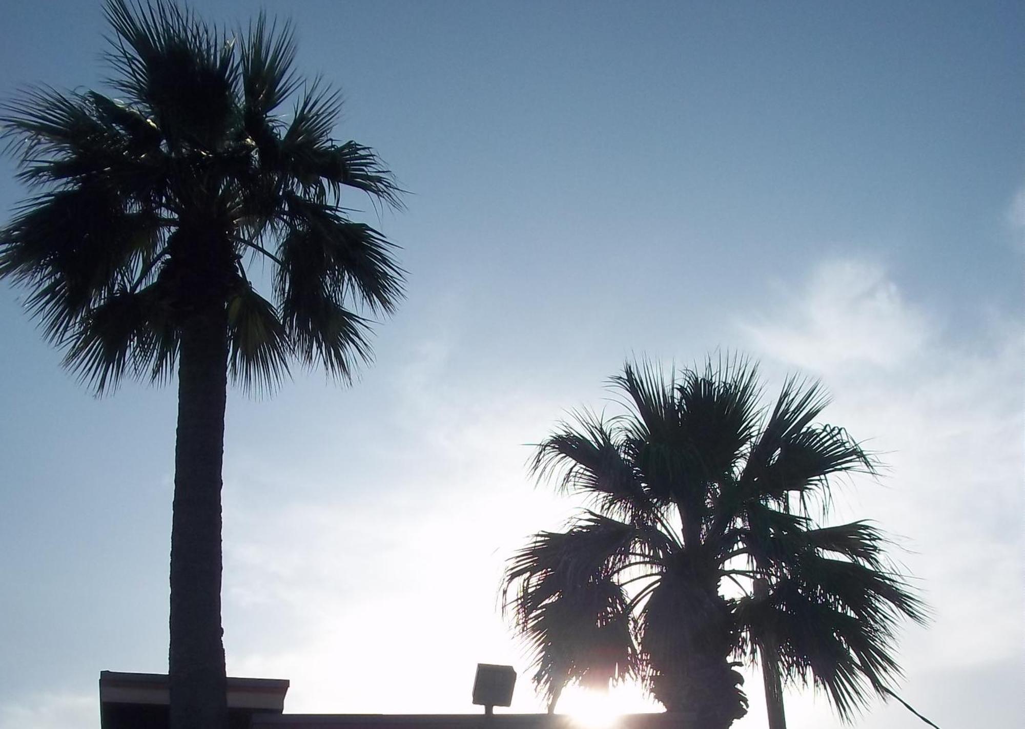 Whispering Palms Inn Del Rio Εξωτερικό φωτογραφία